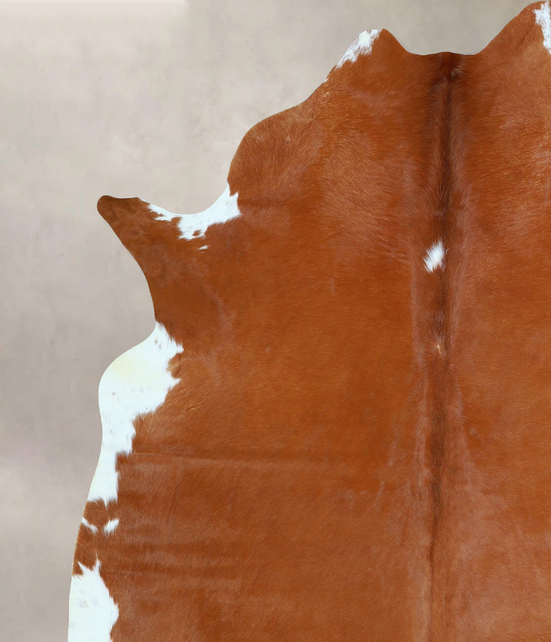 Brown and White Regular X-Large Brazilian Cowhide Rug 7'0"H x 5'10"W #