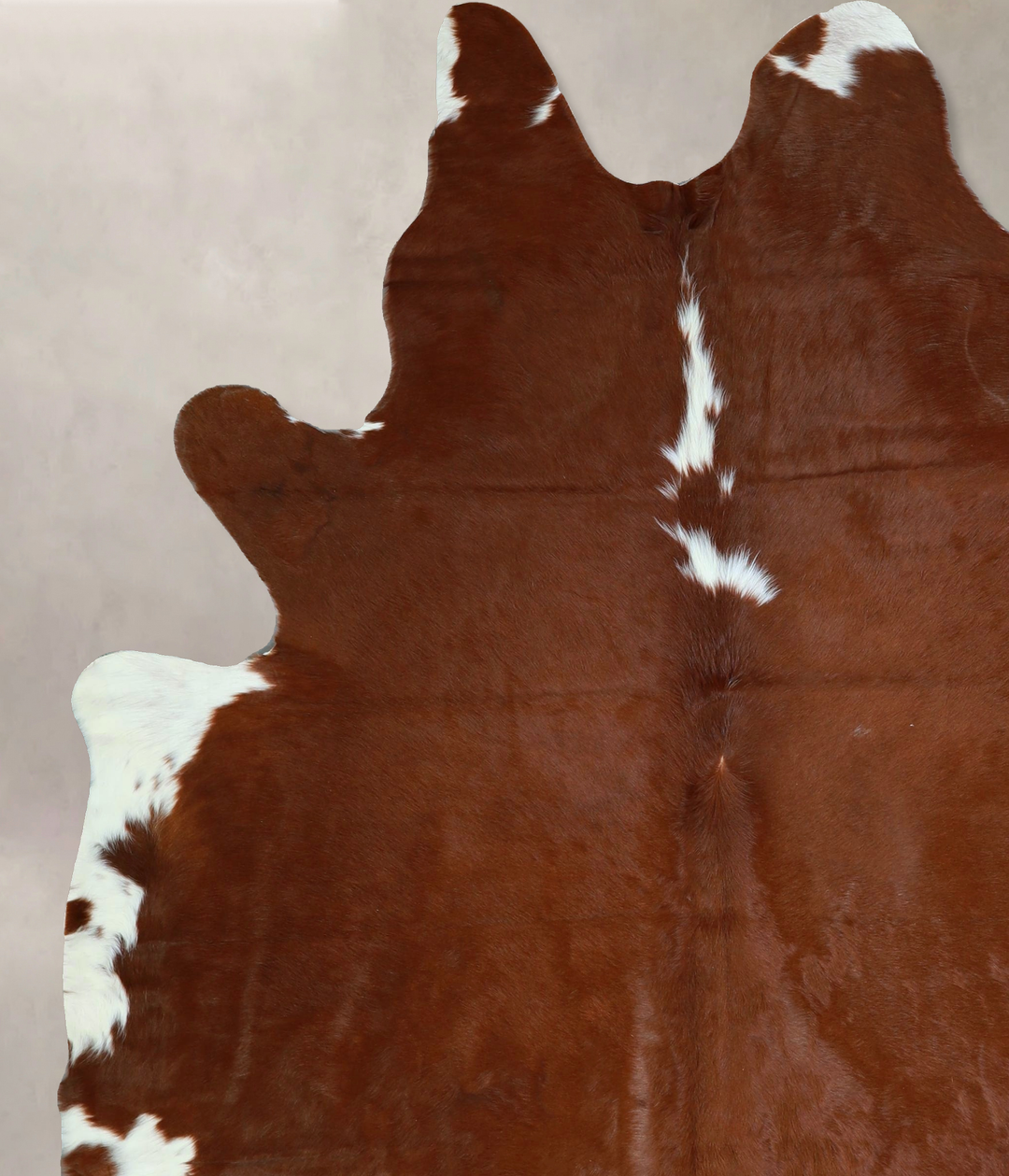 Brown and White Regular X-Large Brazilian Cowhide Rug 7'6"H x 6'4"W #A