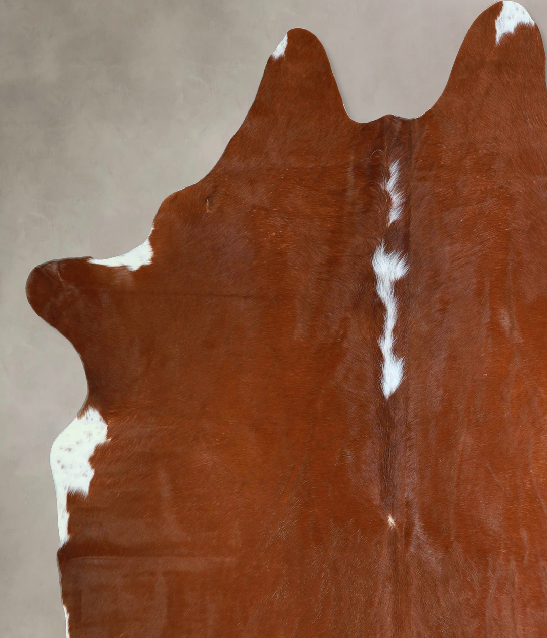 Brown and White Regular X-Large Brazilian Cowhide Rug 7'1"H x 6'2"W #A