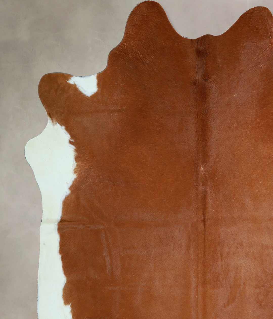 Brown and White Regular XX-Large Brazilian Cowhide Rug 7'8"H x 7'5"W #