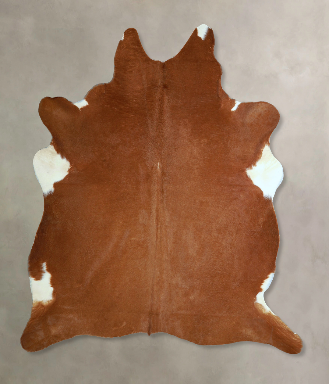 Brown and White Regular X-Large Brazilian Cowhide Rug 6'11"H x 6'0"W #