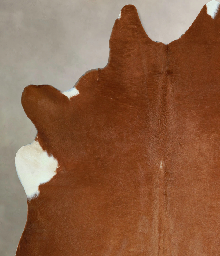 Brown and White Regular X-Large Brazilian Cowhide Rug 6'11"H x 6'0"W #A44110 by Hudson Hides