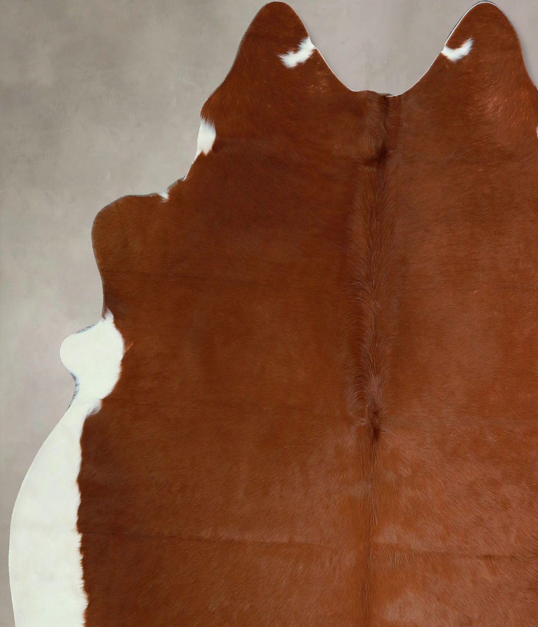 Brown and White Regular X-Large Brazilian Cowhide Rug 6'8"H x 6'5"W #A