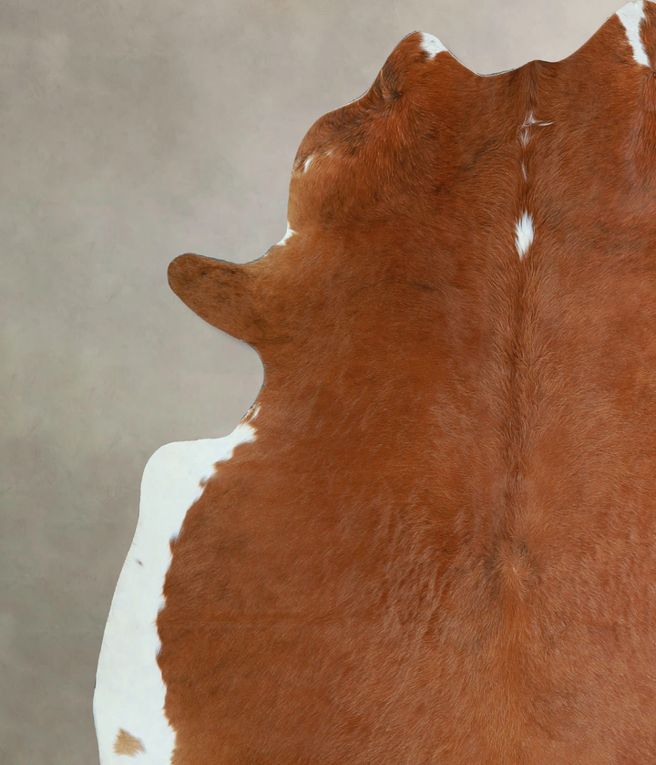 Brown and White Regular X-Large Brazilian Cowhide Rug 7'0"H x 6'8"W #A44487 by Hudson Hides