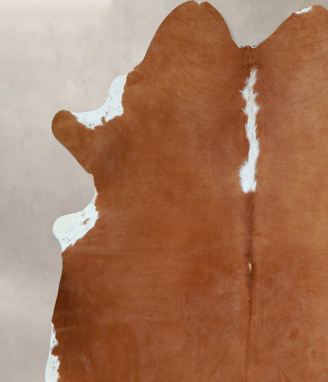 Brown and White Regular X-Large Brazilian Cowhide Rug 6'11"H x 5'10"W