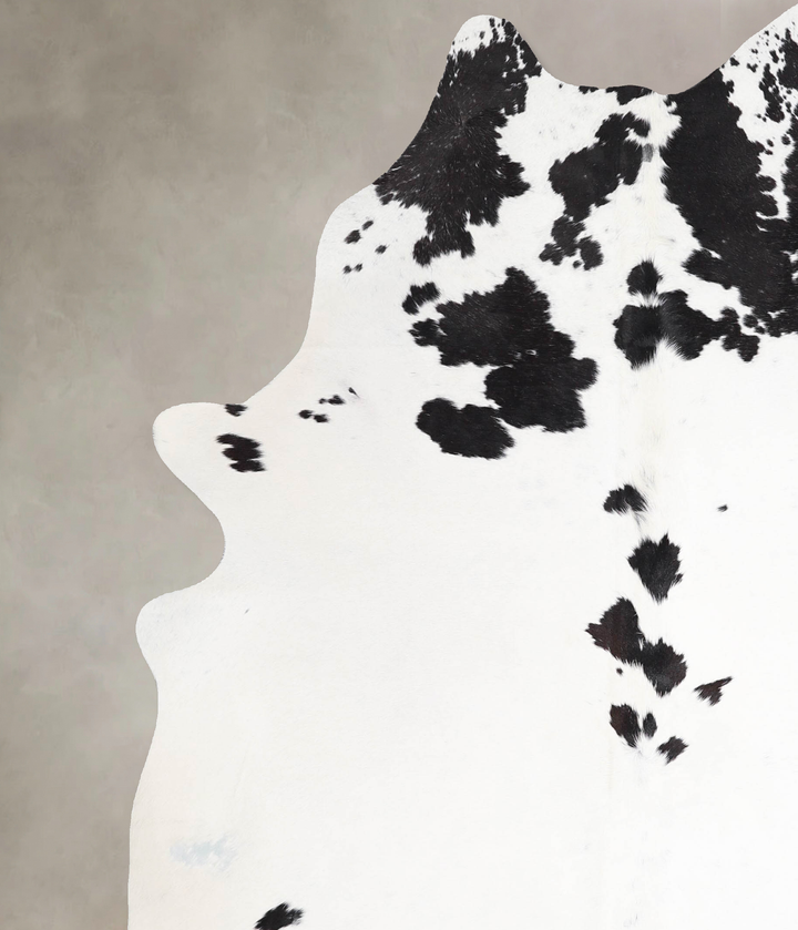 Black and White X-Large Brazilian Cowhide Rug 7'3"H x 5'8"W #A46000 by Hudson Hides