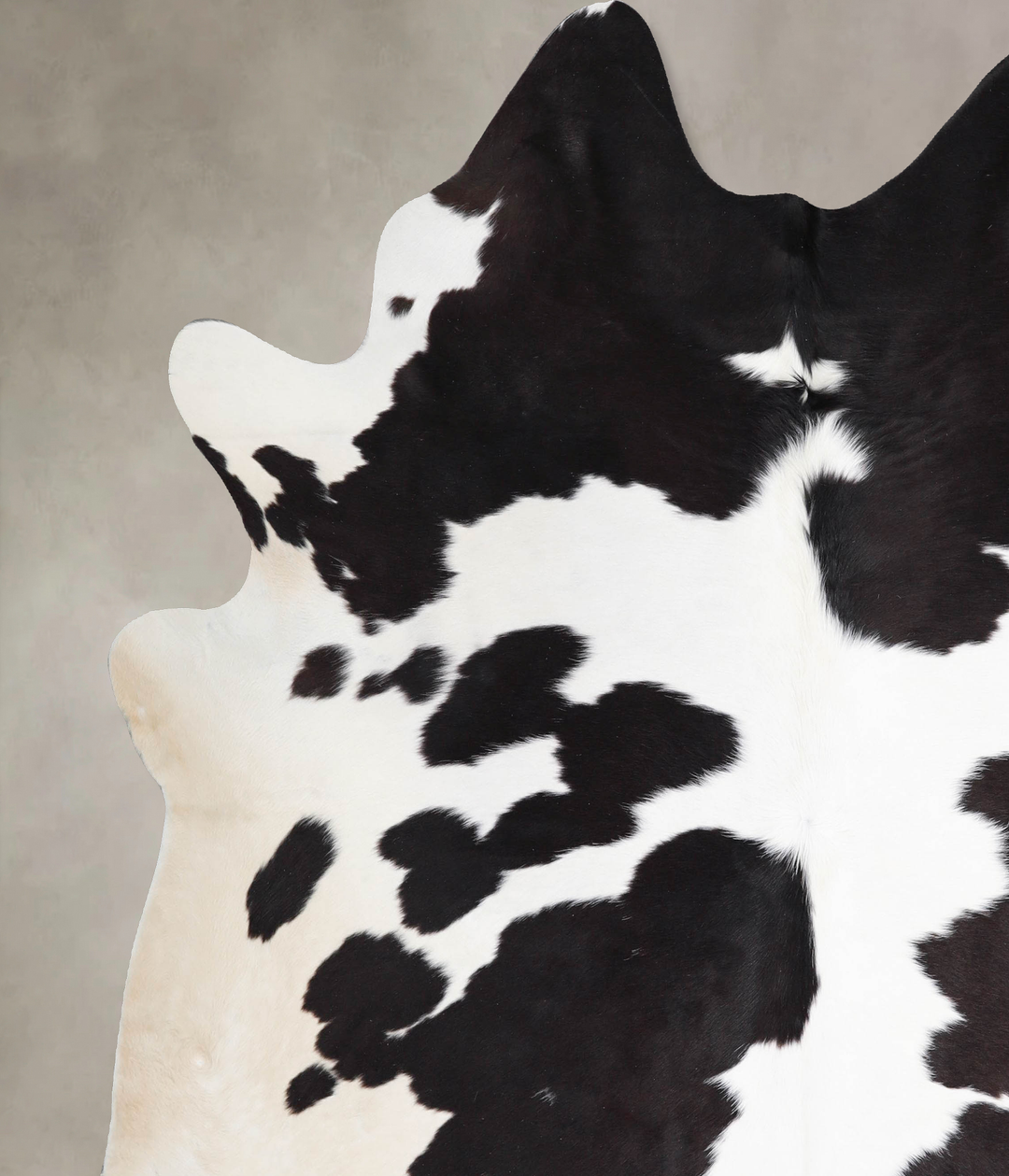 Black and White XX-Large Brazilian Cowhide Rug 7'8"H x 7'0"W #A46157 b