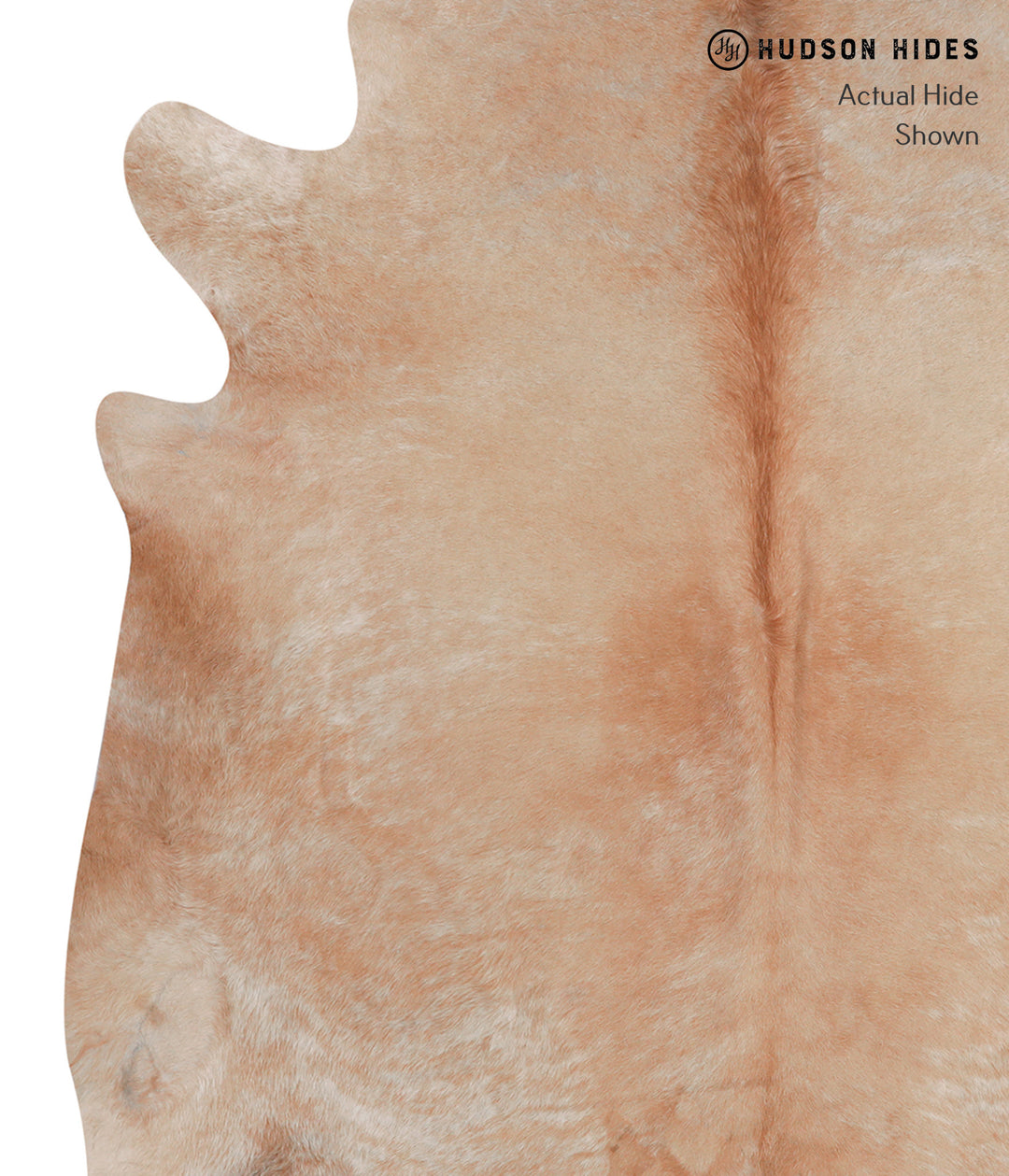Beige XX-Large Brazilian Cowhide Rug 7'6"H x 6'11"W #A4634 by Hudson H