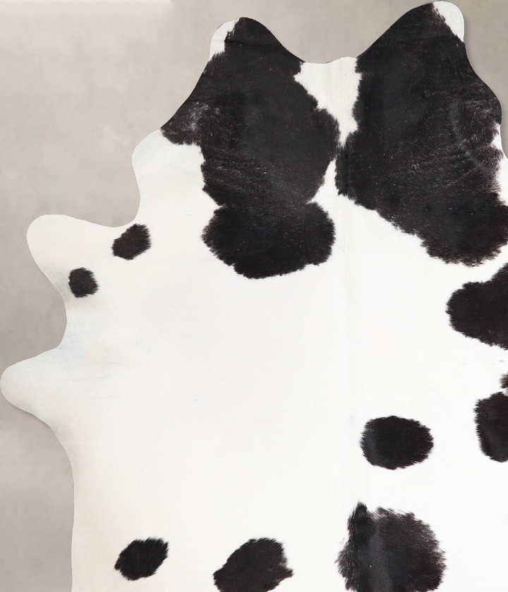 Black and White XX-Large Brazilian Cowhide Rug 8'4"H x 6'10"W #A47107 by Hudson Hides