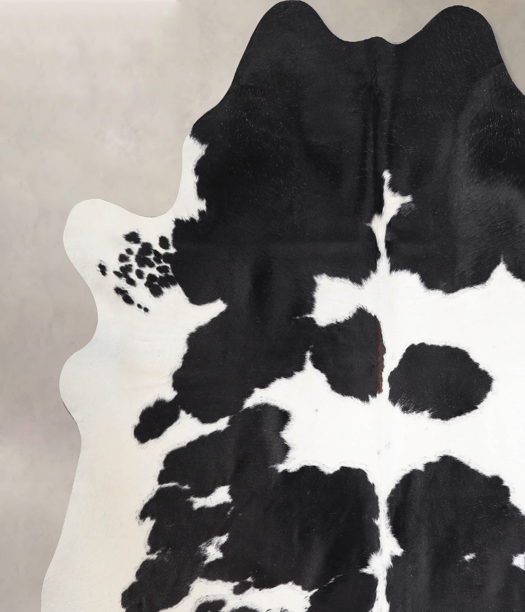 Black and White XX-Large Brazilian Cowhide Rug 7'4"H x 7'3"W #A47145 b