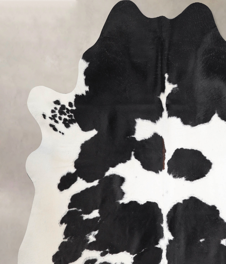 Black and White XX-Large Brazilian Cowhide Rug 7'4"H x 7'3"W #A47145 by Hudson Hides