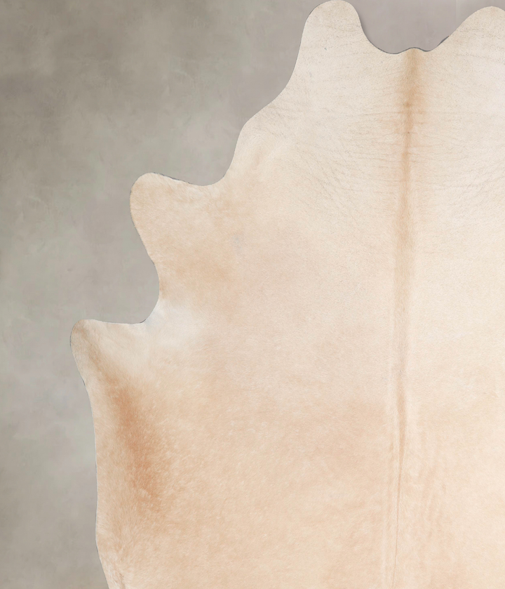 Palomino XX-Large Brazilian Cowhide Rug 8'7"H x 7'9"W #A47283 by Hudson Hides