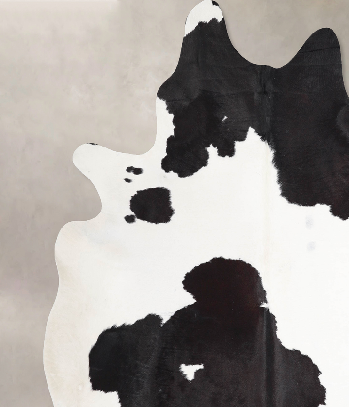 Black and White XX-Large Brazilian Cowhide Rug 7'5"H x 6'11"W #A47293 by Hudson Hides
