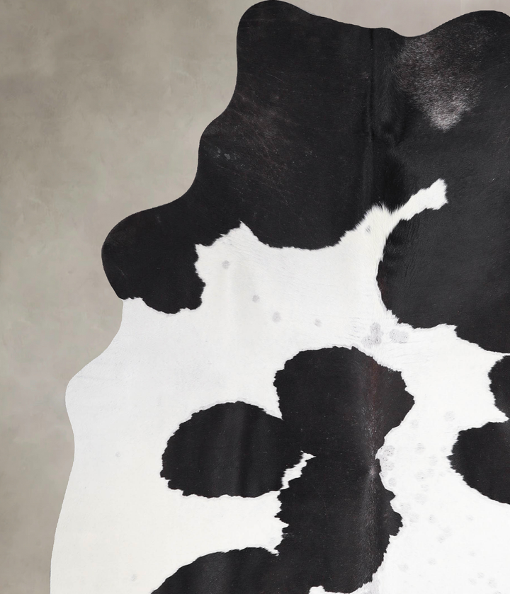 Black and White X-Large Brazilian Cowhide Rug 7'3"H x 5'7"W #A47362 by Hudson Hides