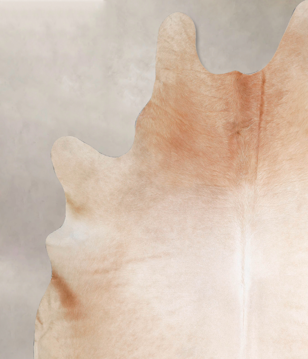 Beige XX-Large Brazilian Cowhide Rug 8'2"H x 6'10"W #A47510 by Hudson