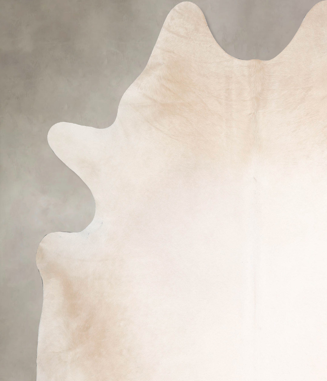 Ivory with Beige XX-Large Brazilian Cowhide Rug 8'2"H x 7'1"W #A47809