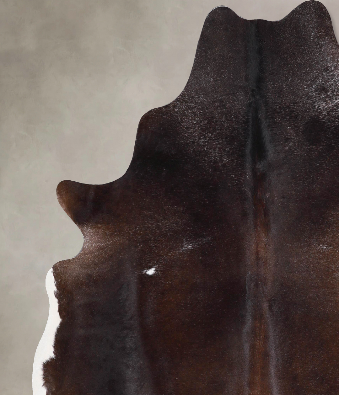 Chocolate X-Large Brazilian Cowhide Rug 6'10"H x 5'11"W #A48097 by Hud