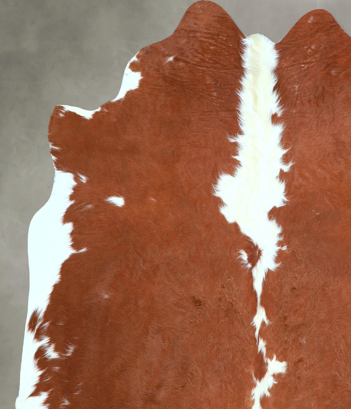 Brown and White Large Brazilian Cowhide Rug 5'11"H x 5'8"W #A48331 by Hudson Hides