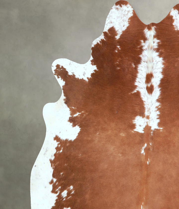 Brown and White Large Brazilian Cowhide Rug 6'1"H x 6'1"W #A48395 by Hudson Hides