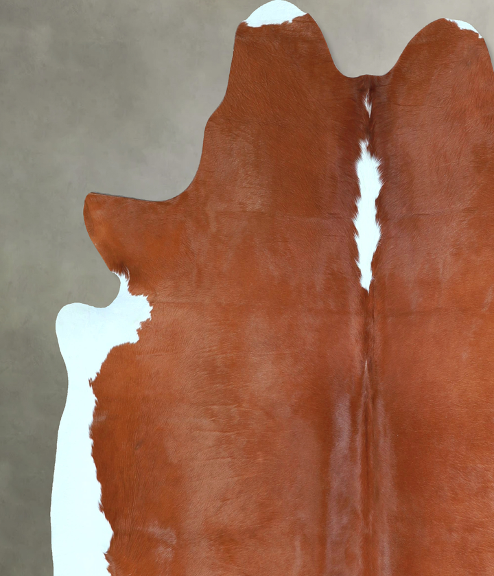 Brown and White Regular X-Large Brazilian Cowhide Rug 6'7"H x 6'2"W #A48438 by Hudson Hides