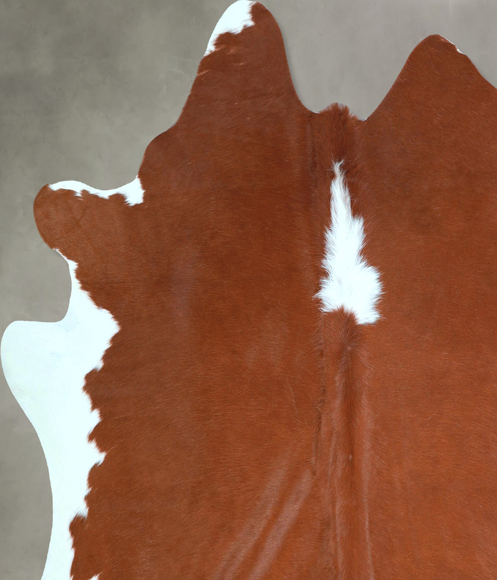 Brown and White Regular X-Large Brazilian Cowhide Rug 6'5"H x 6'3"W #A48441 by Hudson Hides