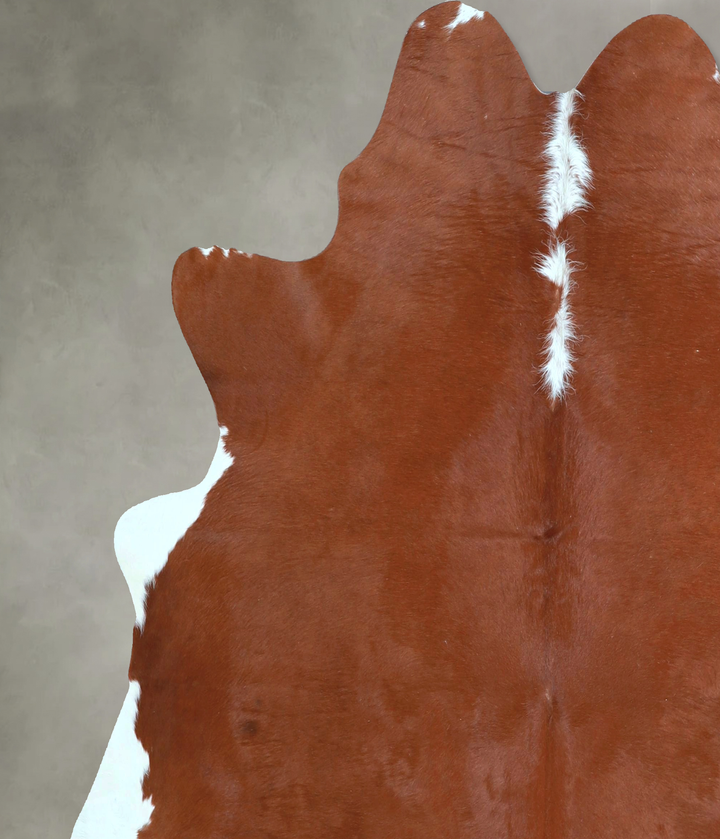 Brown and White Regular Large Brazilian Cowhide Rug 6'2"H x 6'2"W #A48445 by Hudson Hides