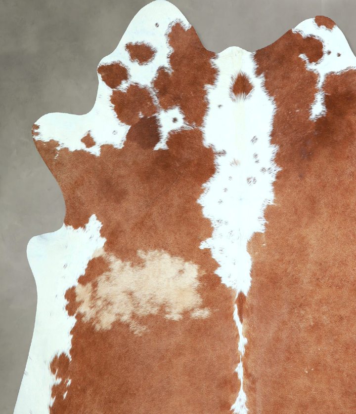Brown and White Regular X-Large Brazilian Cowhide Rug 6'6"H x 6'7"W #A48753 by Hudson Hides