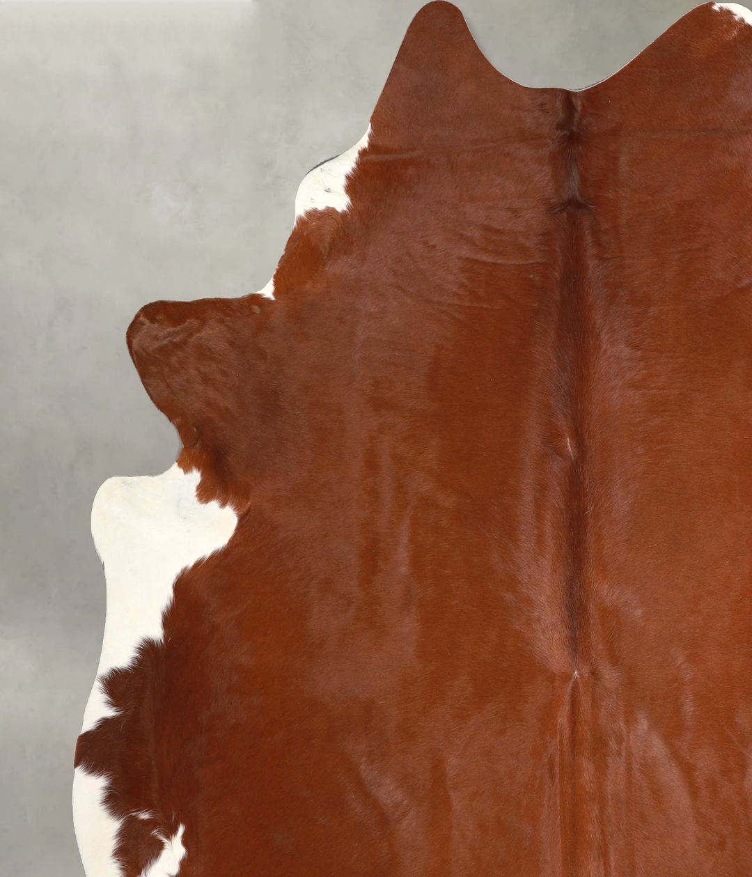 Brown and White Regular XX-Large Brazilian Cowhide Rug 7'6"H x 7'0"W #
