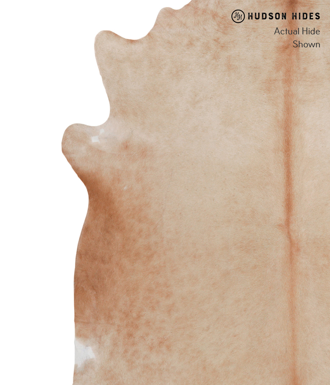 Beige XX-Large Brazilian Cowhide Rug 7'4"H x 6'11"W #A4895 by Hudson H