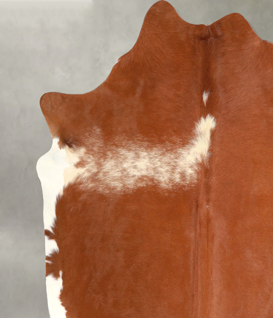 Brown and White Regular X-Large Brazilian Cowhide Rug 6'9"H x 6'7"W #A
