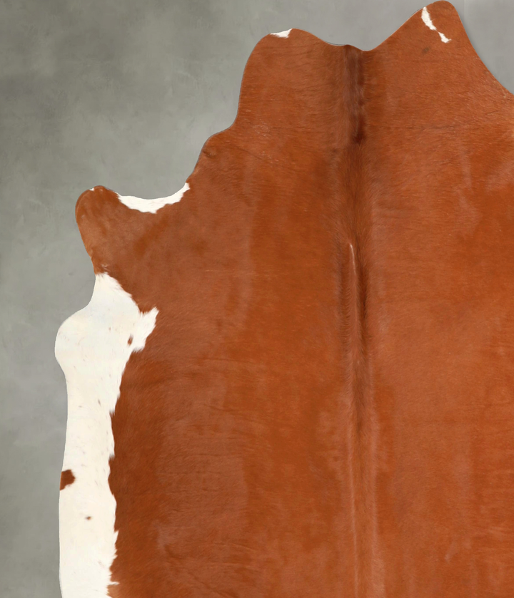 Brown and White Regular XX-Large Brazilian Cowhide Rug 7'5"H x 7'3"W #A48962 by Hudson Hides
