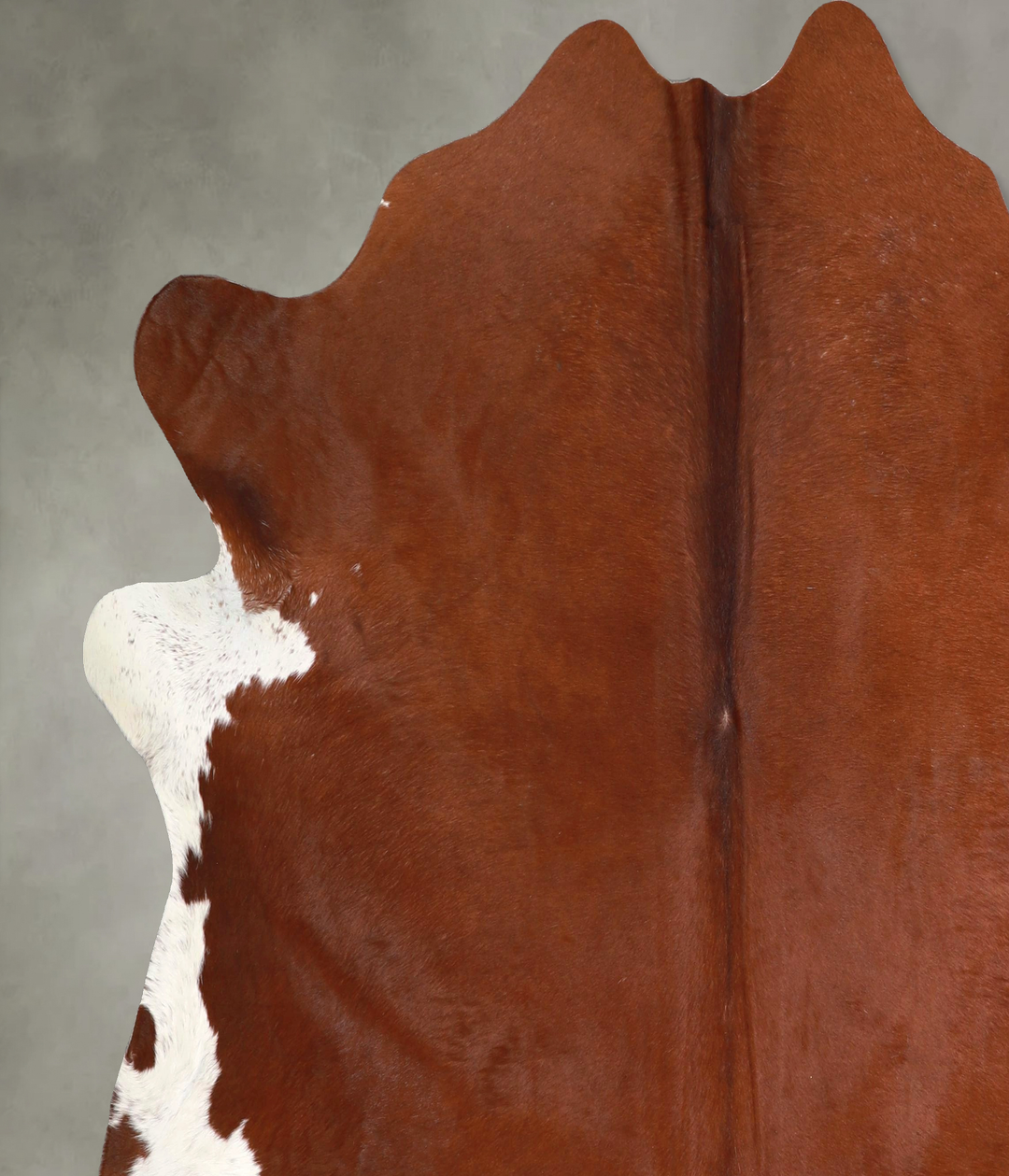 Brown and White Regular XX-Large Brazilian Cowhide Rug 7'2"H x 7'1"W #