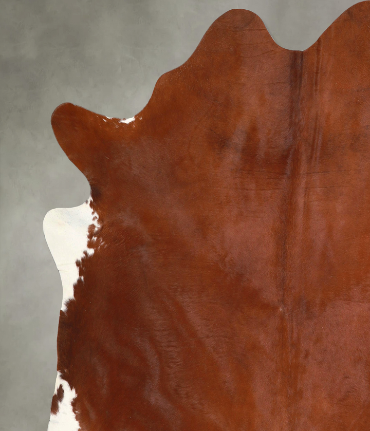 Brown and White Regular XX-Large Brazilian Cowhide Rug 7'8"H x 6'7"W #A48986 by Hudson Hides