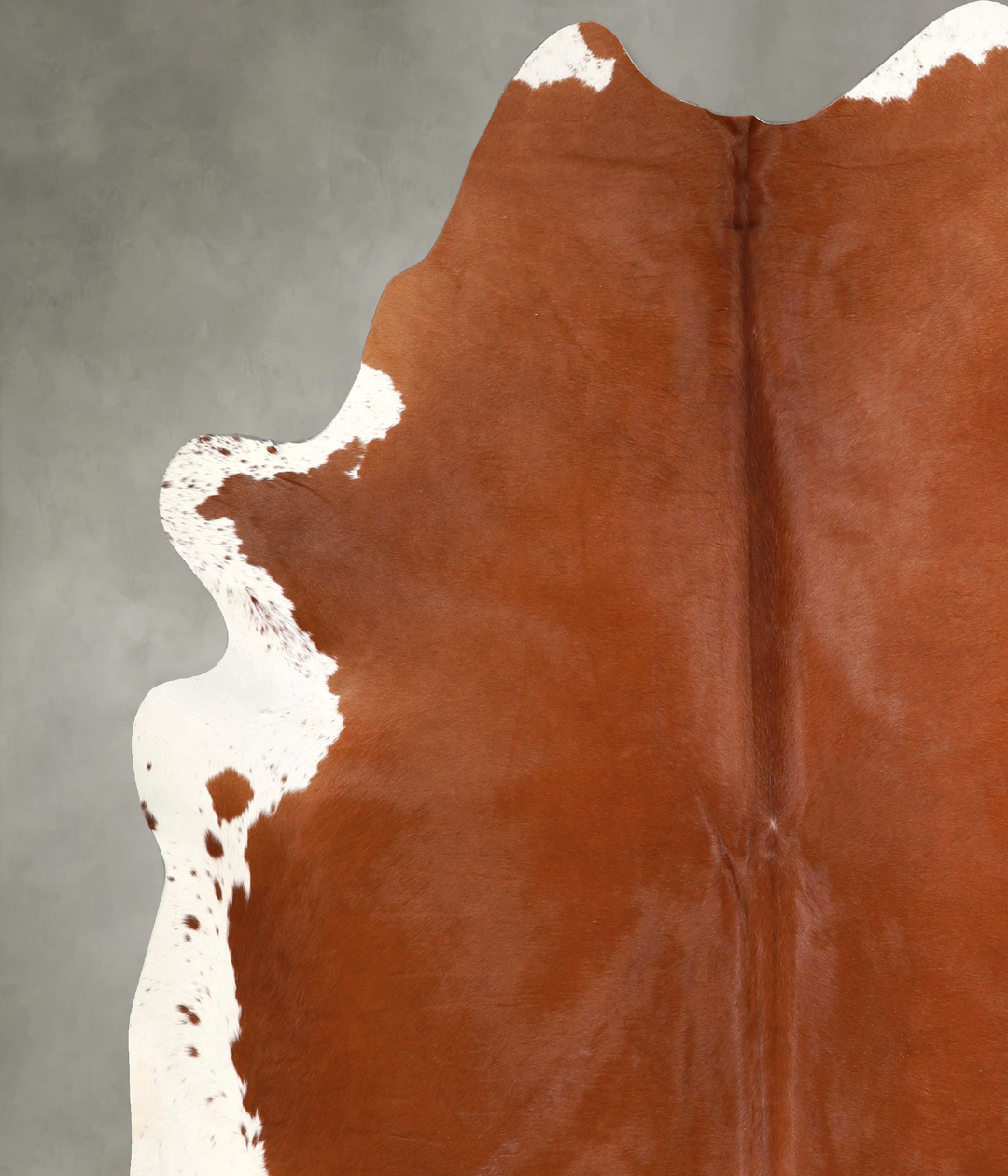 Brown and White Regular XX-Large Brazilian Cowhide Rug 8'0"H x 7'5"W #