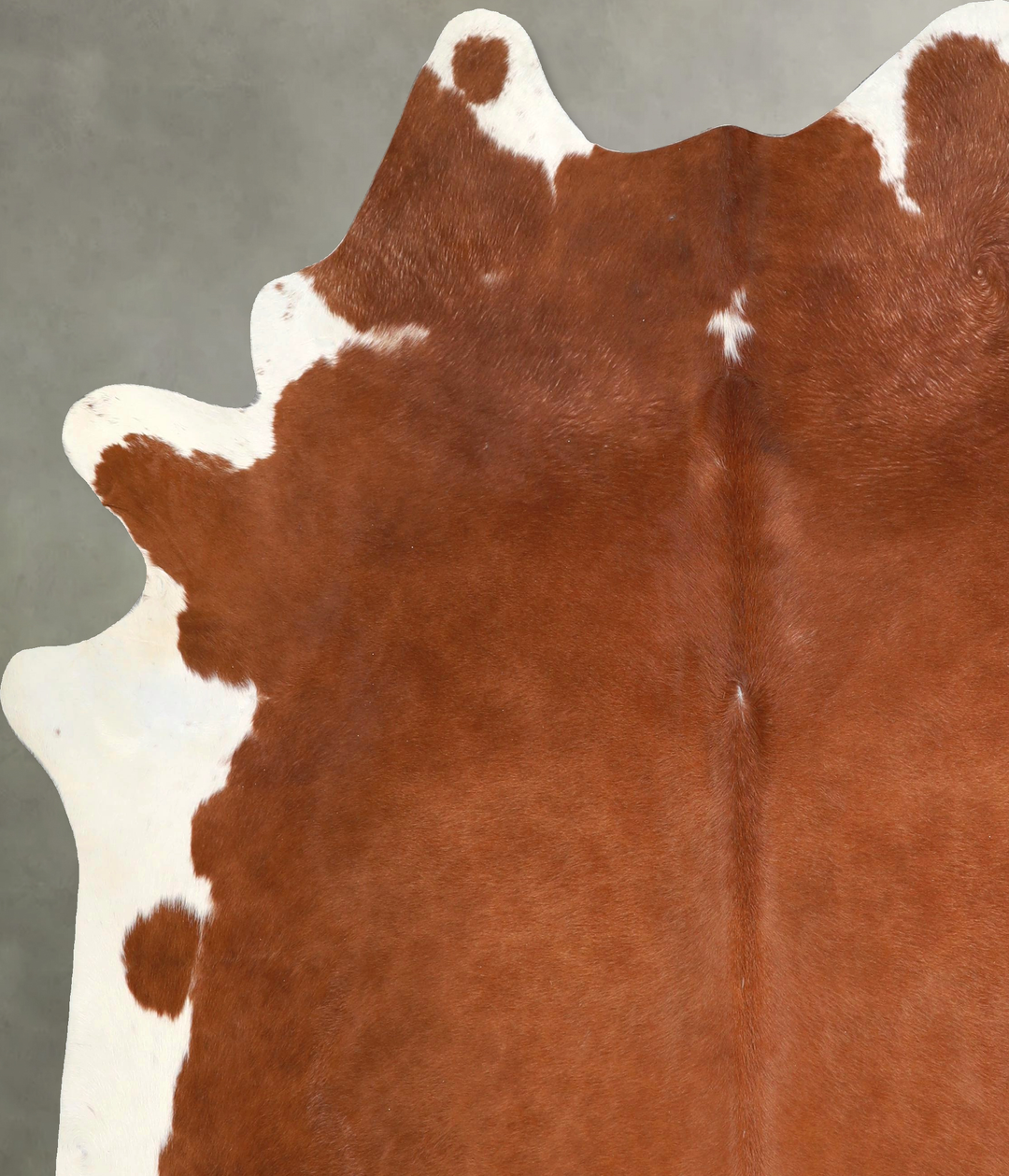 Brown and White Regular XX-Large Brazilian Cowhide Rug 7'7"H x 6'11"W