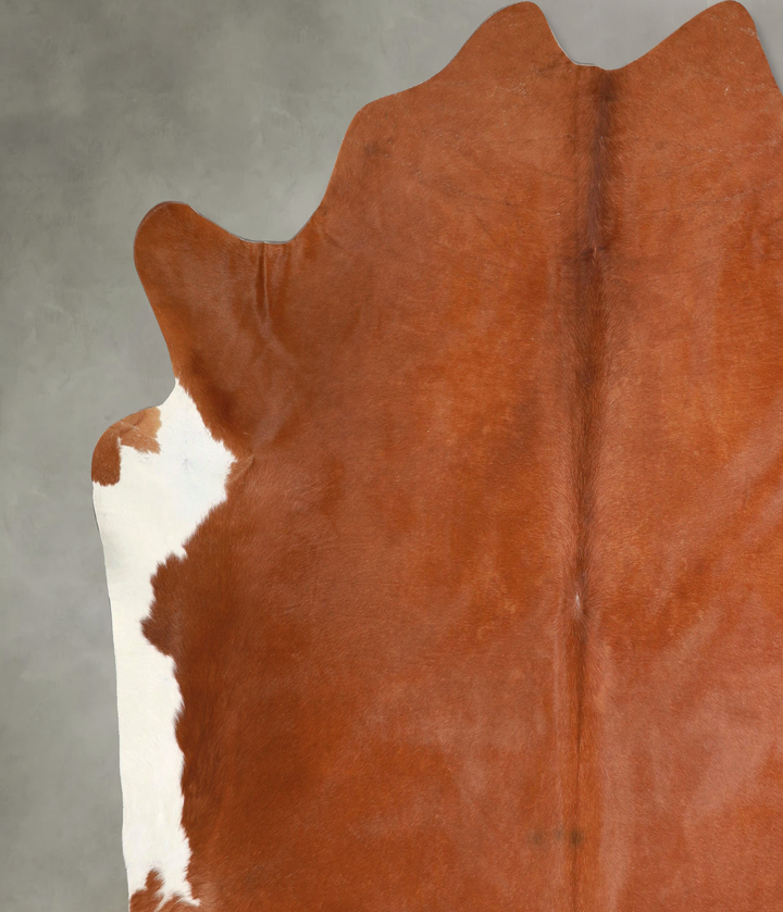 Brown and White Regular XX-Large Brazilian Cowhide Rug 7'11"H x 7'8"W #A49019 by Hudson Hides