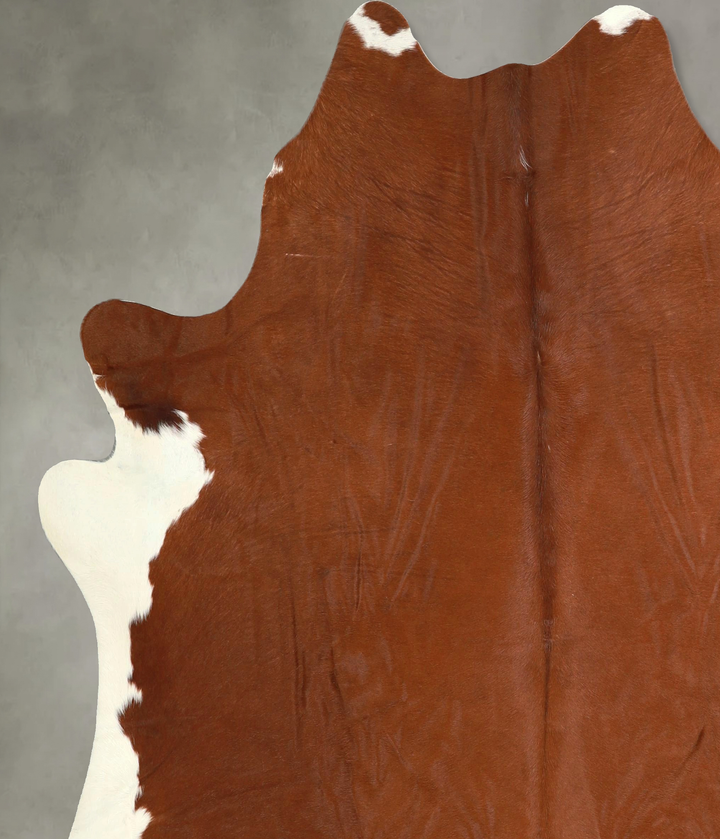 Brown and White Regular X-Large Brazilian Cowhide Rug 6'9"H x 6'4"W #A49174 by Hudson Hides