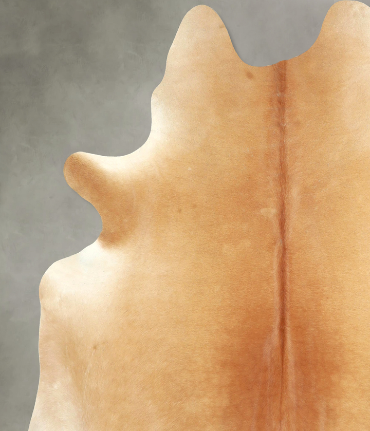 Beige X-Large Brazilian Cowhide Rug 6'10"H x 6'3"W #A49178 by Hudson Hides