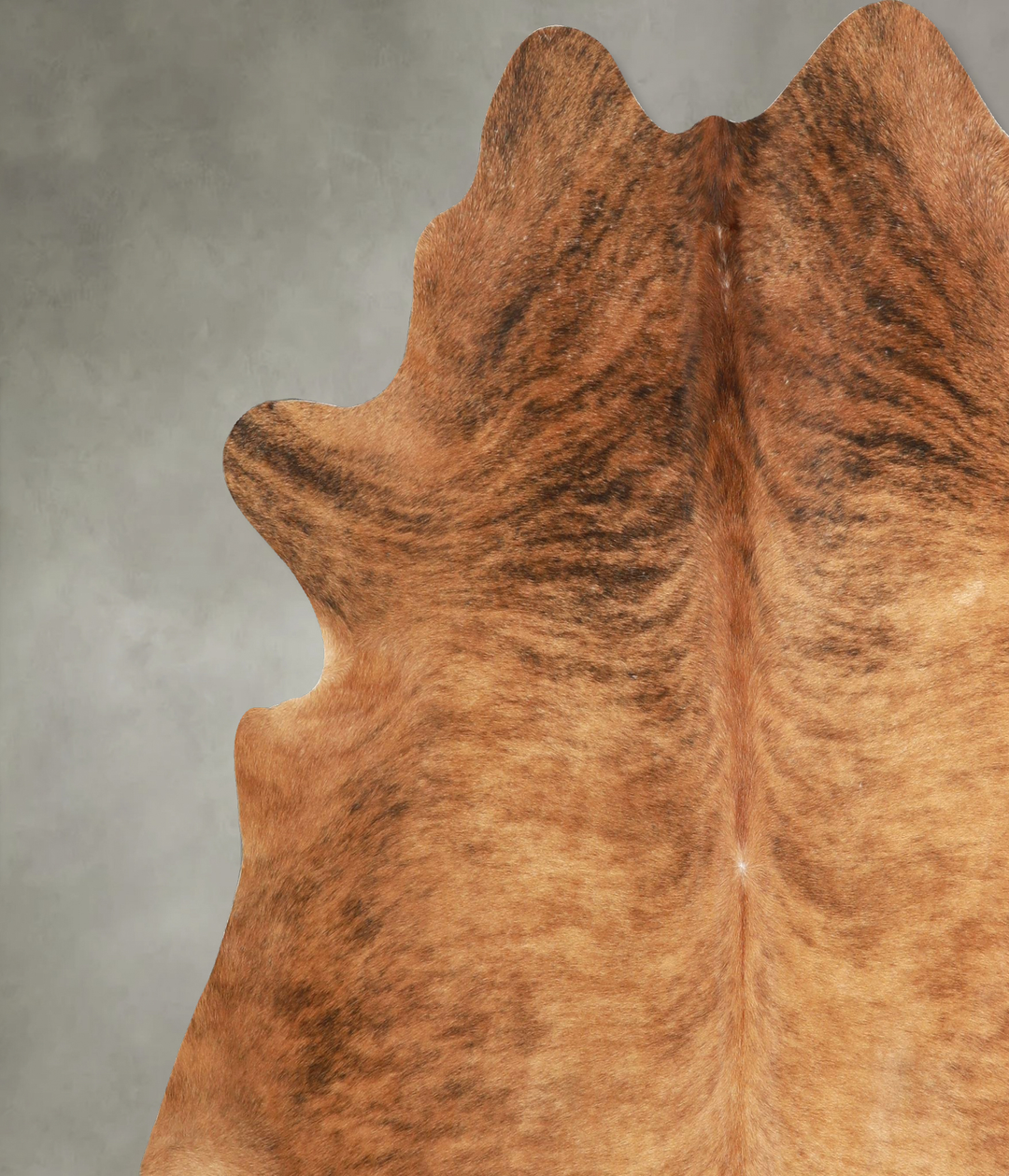 Medium Brindle XX-Large Brazilian Cowhide Rug 7'0"H x 7'2"W #A49186 by