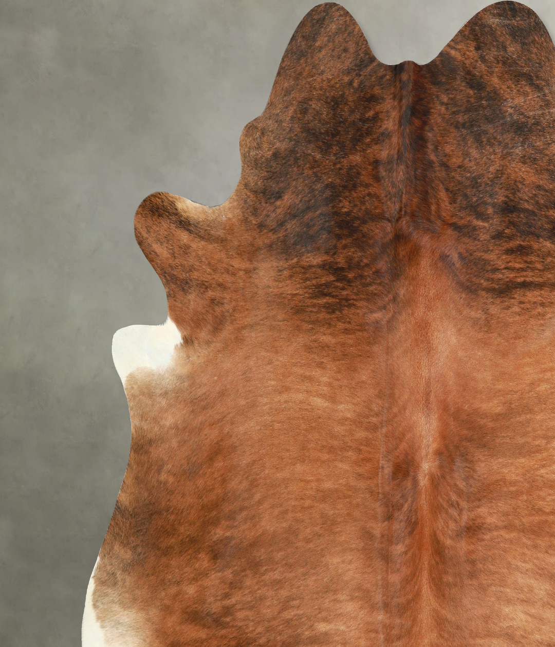 Medium Brindle XX-Large Brazilian Cowhide Rug 7'8"H x 7'5"W #A49190 by