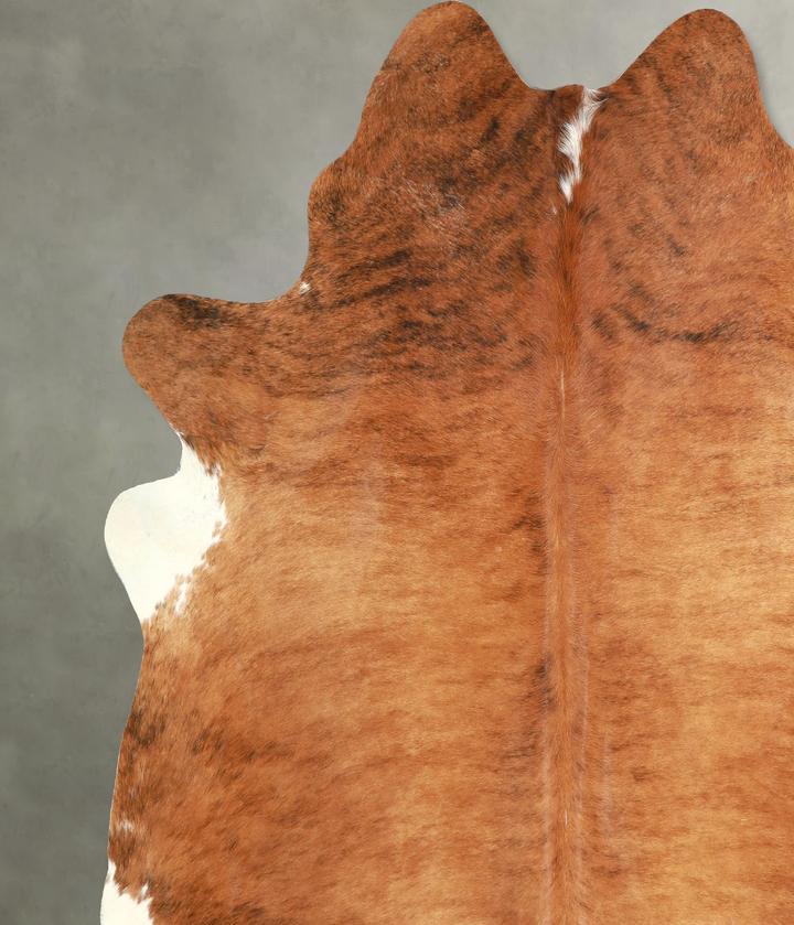 Medium Brindle X-Large Brazilian Cowhide Rug 7'0"H x 7'1"W #A49196 by Hudson Hides