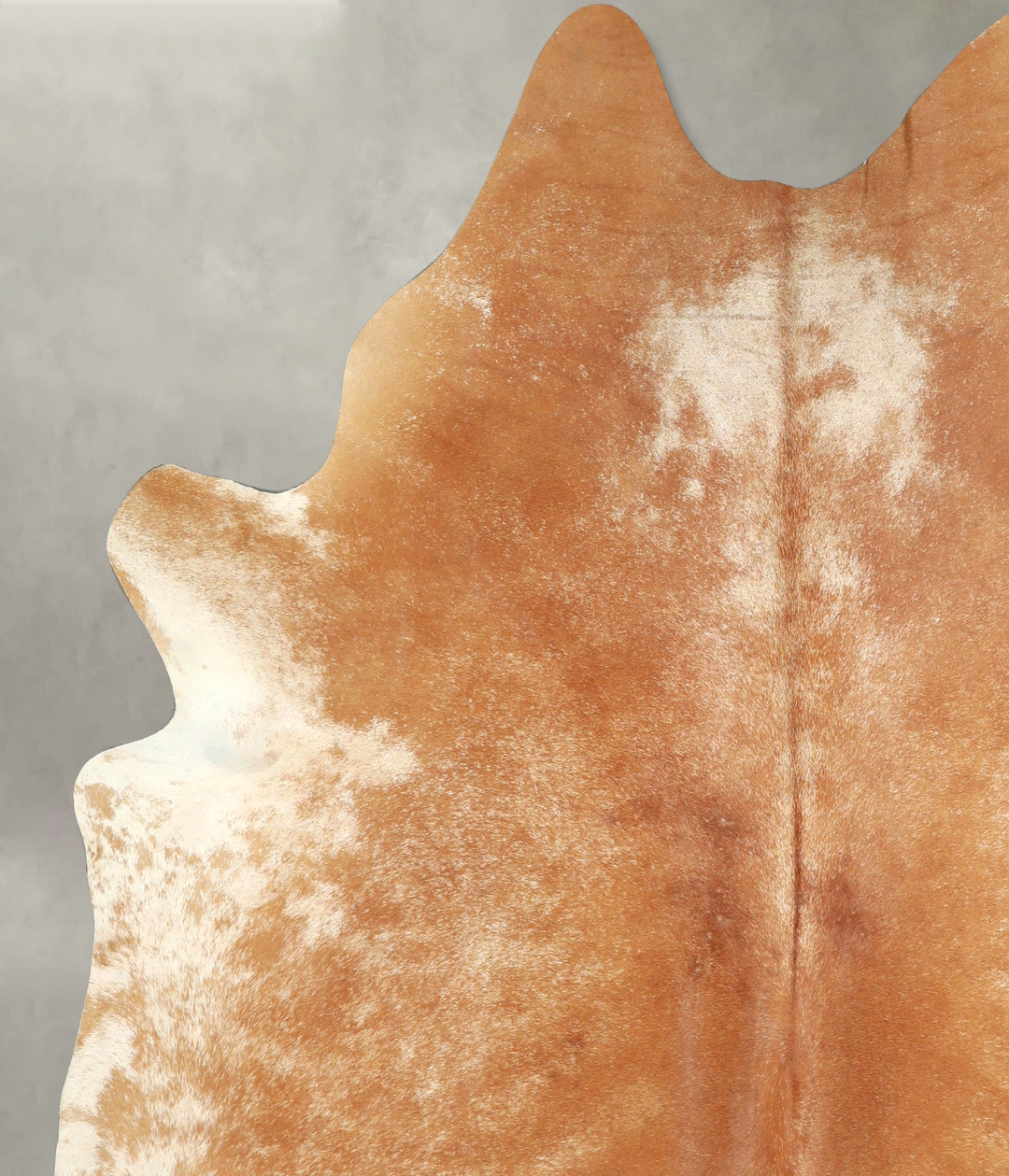 Brown and White Regular XX-Large Brazilian Cowhide Rug 7'8"H x 6'10"W