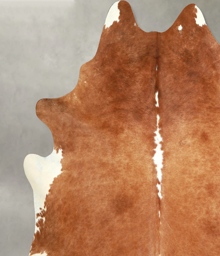 Brown and White Regular XX-Large Brazilian Cowhide Rug 8'0"H x 7'9"W #A49220 by Hudson Hides