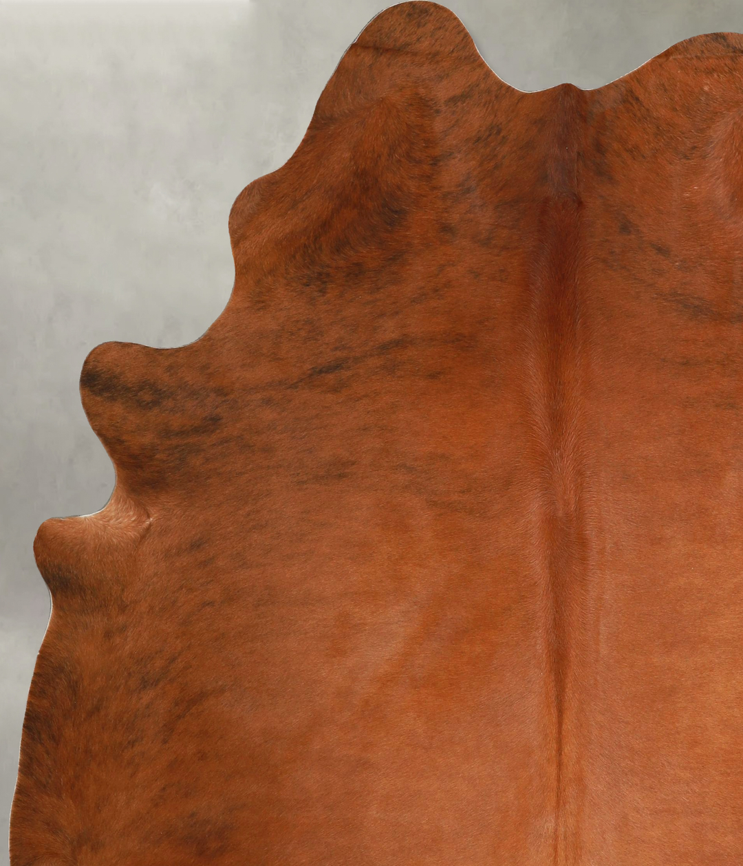Medium Brindle X-Large Brazilian Cowhide Rug 7'2"H x 5'11"W #A49236 by