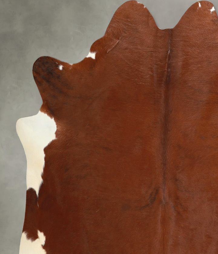 Brown and White Regular X-Large Brazilian Cowhide Rug 6'8"H x 6'1"W #A49253 by Hudson Hides