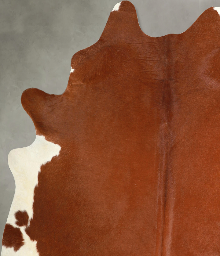 Brown and White Regular XX-Large Brazilian Cowhide Rug 8'0"H x 6'9"W #A49259 by Hudson Hides