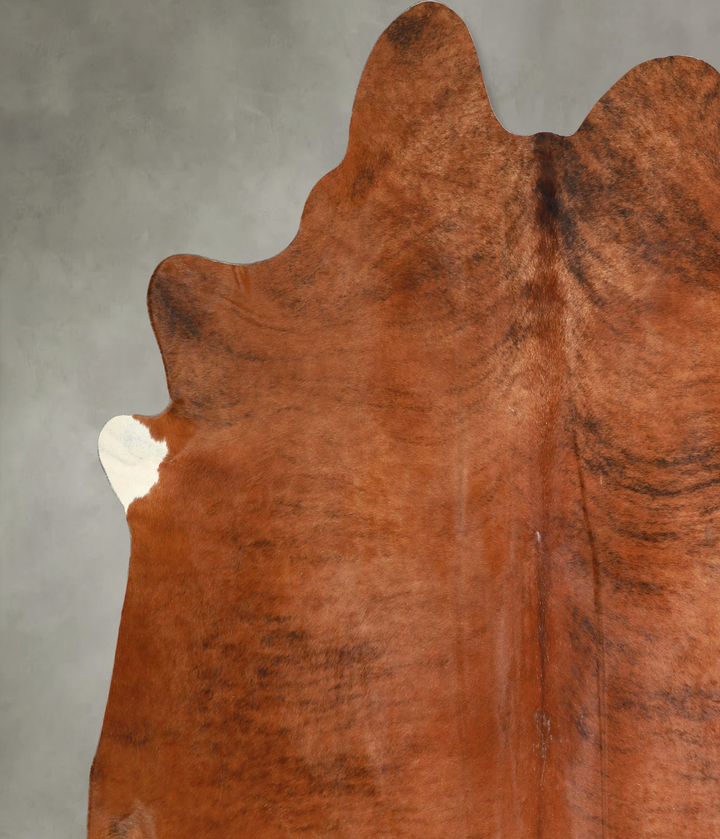 Medium Brindle XX-Large Brazilian Cowhide Rug 7'10"H x 6'10"W #A49265 by Hudson Hides