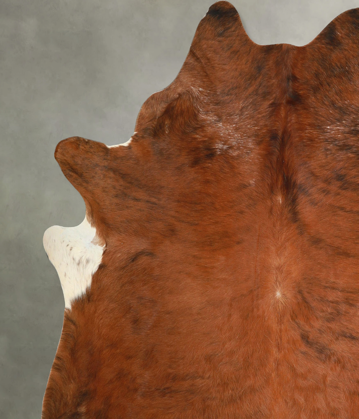 Medium Brindle XX-Large Brazilian Cowhide Rug 7'11"H x 7'1"W #A49266 by Hudson Hides