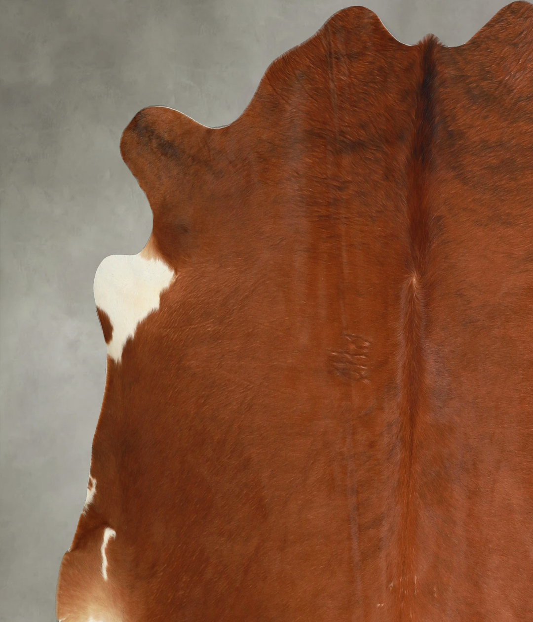 Medium Brindle X-Large Brazilian Cowhide Rug 6'5"H x 6'11"W #A49281 by