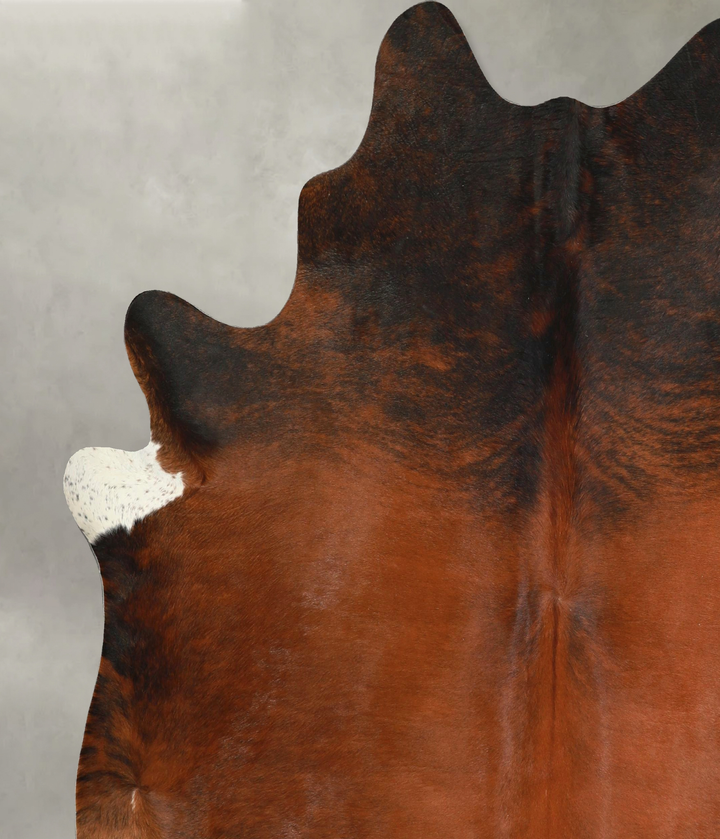 Medium Brindle X-Large Brazilian Cowhide Rug 7'5"H x 6'8"W #A49285 by Hudson Hides
